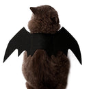 Fantasia Asa De Morcego Banguela Halloween Para Gato Cachorro Pet Dog Cat Dia das Bruxas