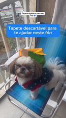 Tapete Higiênico Descartável para Cachorro Unidades 60x60 cm - Fralda Pet Xixi Cão Pequeno Médio