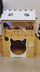 Casinha de Gato 2 Andares Playground Rampa Arranhador Toca Felino Brinquedo Degrau Casa