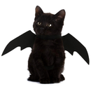 Fantasia Asa de Morcego para Cachorro e Gato Halloween