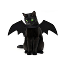 Fantasia Asa de Morcego para Cachorro e Gato Halloween