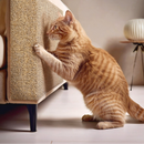Arranhador Adesivo Premium: Sofá, Cama e Móveis Para Gato - Protetor Pet