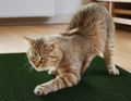 Arranhador Adesivo para Gatos Sofá e Móveis