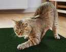 Arranhador Adesivo Premium: Sofá, Cama e Móveis Para Gato - Protetor Pet