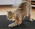 Arranhador Adesivo para Gatos Sofá e Móveis