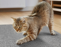 Arranhador Adesivo para Gatos Sofá e Móveis