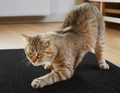 Arranhador Adesivo para Gatos Sofá e Móveis