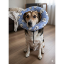 Colar Elizabetano Macio Ajustável para Cães e Gatos