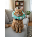 Colar Elizabetano Macio Ajustável para Cães e Gatos
