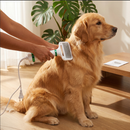 Escova Secadora Pet 2 em 1 Seca Remove Pelos Cachorro Gato Profissional