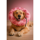 Colar Elizabetano Macio Ajustável para Cães e Gatos