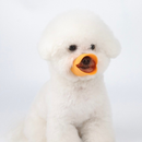 Focinheira de Pato para Cachorro Silicone Ajustável Anti-Mordida