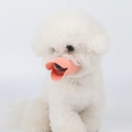 Focinheira de Pato para Cachorro Silicone Ajustável Anti-Mordida